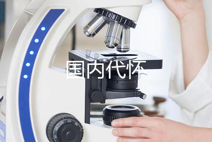 国内代怀